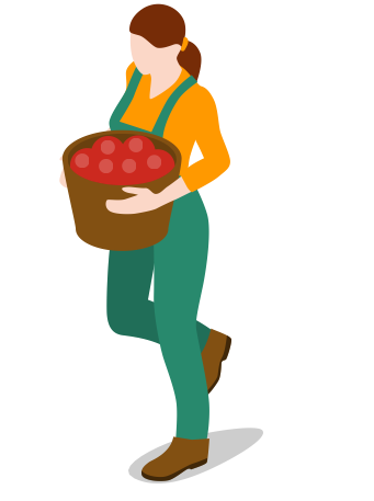 Kənd təsərrüfatı