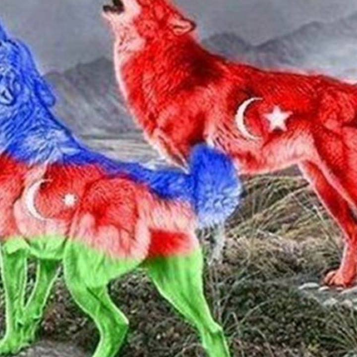 İlqar